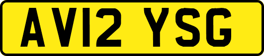 AV12YSG