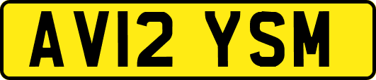 AV12YSM