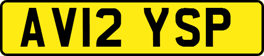 AV12YSP