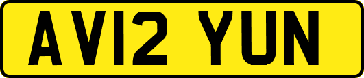 AV12YUN