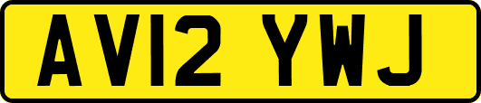 AV12YWJ