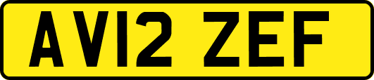AV12ZEF