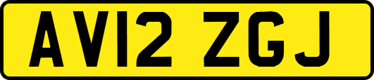 AV12ZGJ