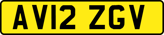 AV12ZGV
