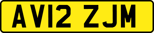 AV12ZJM