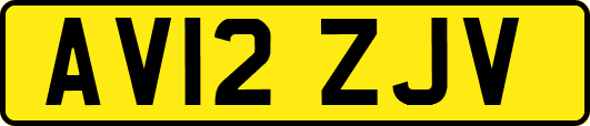 AV12ZJV