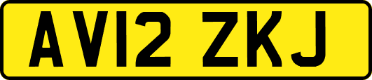 AV12ZKJ