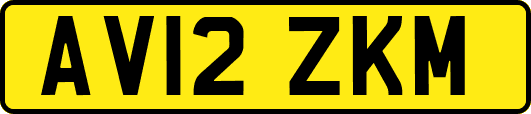 AV12ZKM