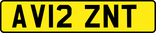 AV12ZNT