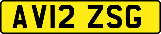 AV12ZSG