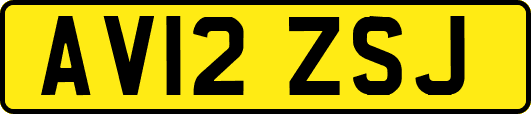AV12ZSJ