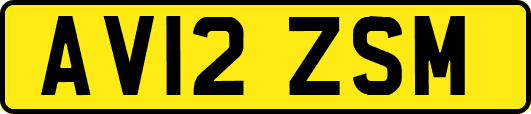 AV12ZSM