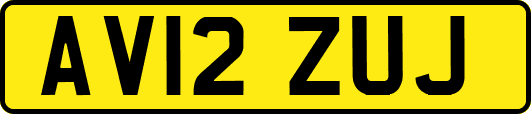 AV12ZUJ