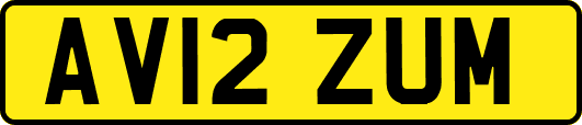 AV12ZUM