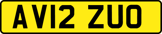 AV12ZUO