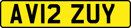 AV12ZUY