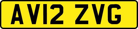 AV12ZVG