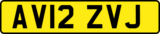 AV12ZVJ