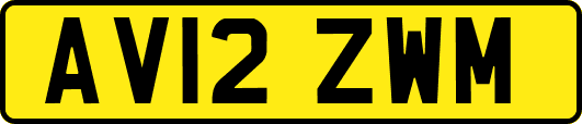 AV12ZWM