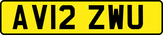 AV12ZWU