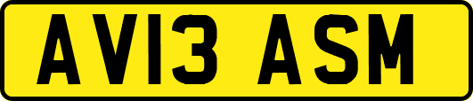 AV13ASM