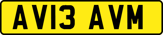 AV13AVM
