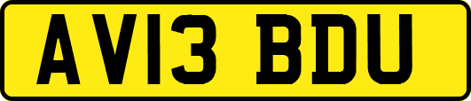 AV13BDU