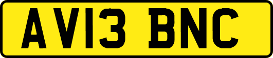 AV13BNC