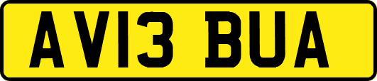 AV13BUA