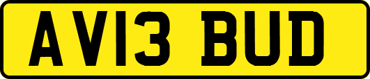 AV13BUD