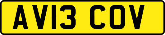 AV13COV