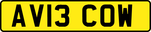 AV13COW