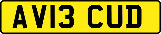 AV13CUD