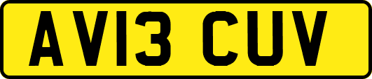 AV13CUV
