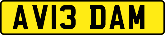 AV13DAM
