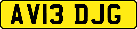 AV13DJG