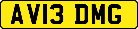 AV13DMG