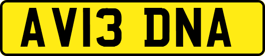 AV13DNA