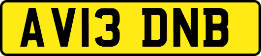 AV13DNB