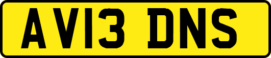 AV13DNS