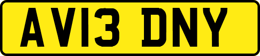 AV13DNY