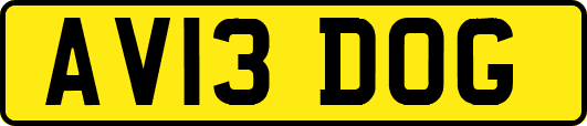 AV13DOG