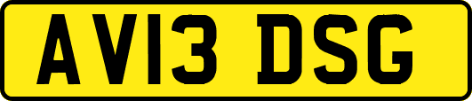 AV13DSG