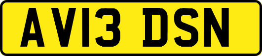 AV13DSN