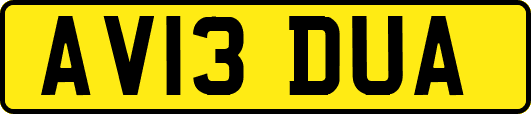 AV13DUA