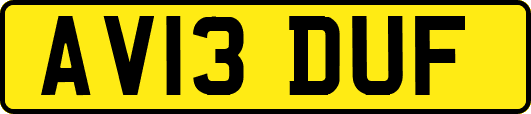 AV13DUF