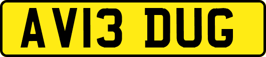 AV13DUG