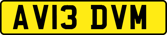 AV13DVM