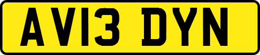 AV13DYN