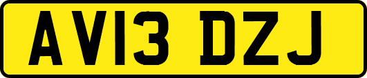 AV13DZJ